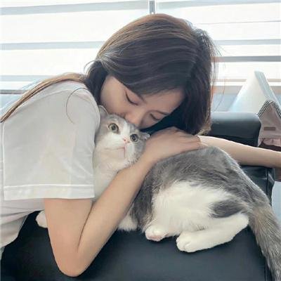 请求庇护